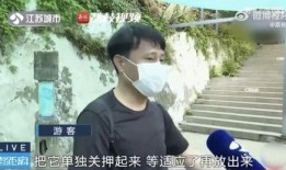 离谱吃瓜网红是谁,揭秘网络红人的神秘面纱